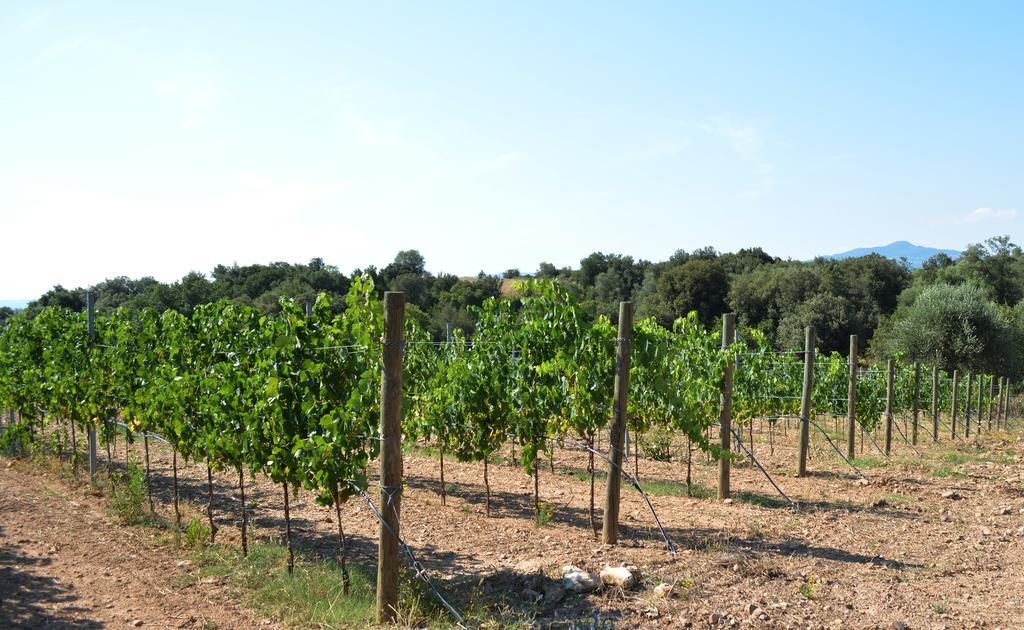 Tenuta Di Maro Sticciano Exteriér fotografie